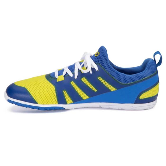 Forza Runner - Men-VICTORY BLUE / SULPHUR