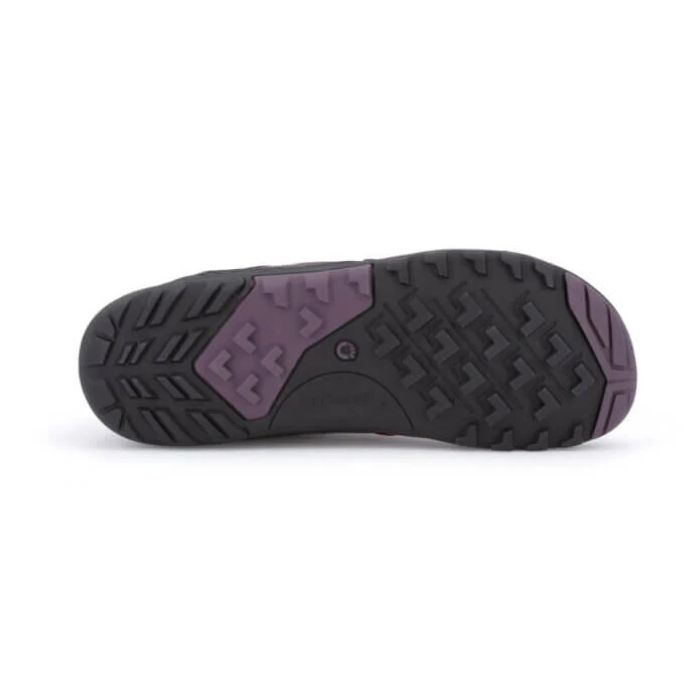 DayLite Hiker Fusion - Women-MULBERRY