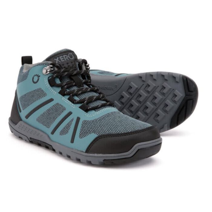 DayLite Hiker Fusion - Women-ARCTIC BLUE / ASPHALT