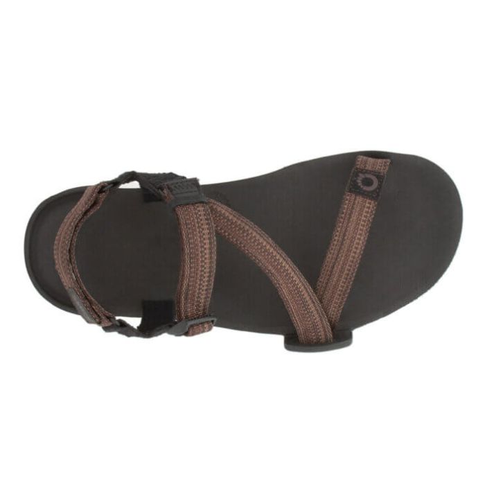 Z-Trail EV - Men-MULTI-BROWN