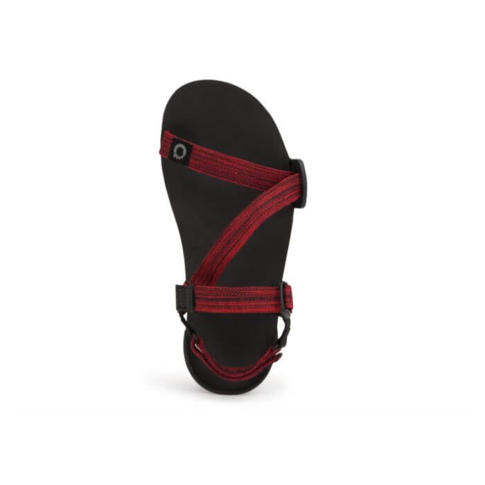 Z-Trail EV - Men-RED