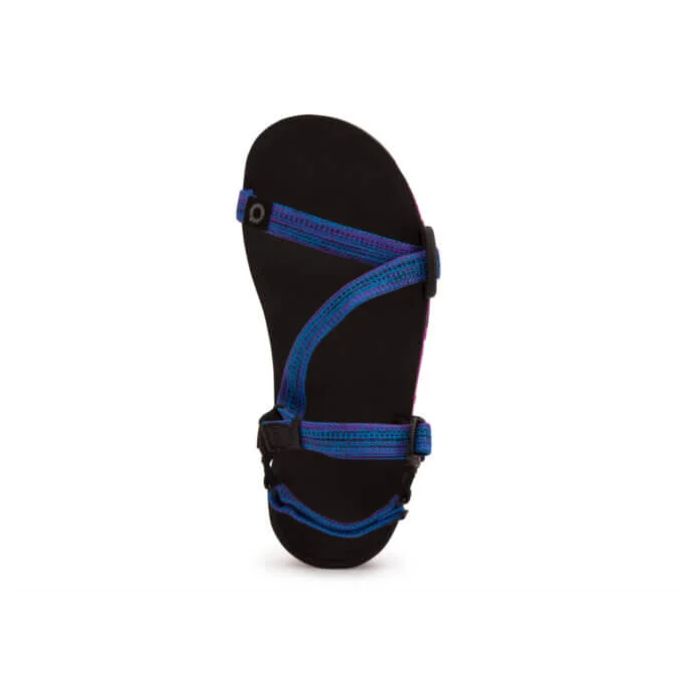 Z-Trail EV - Women-BRIGHT BLUE