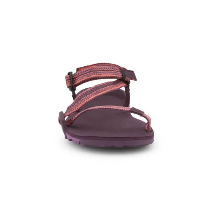 Z-Trail EV - Women-MAGENTA