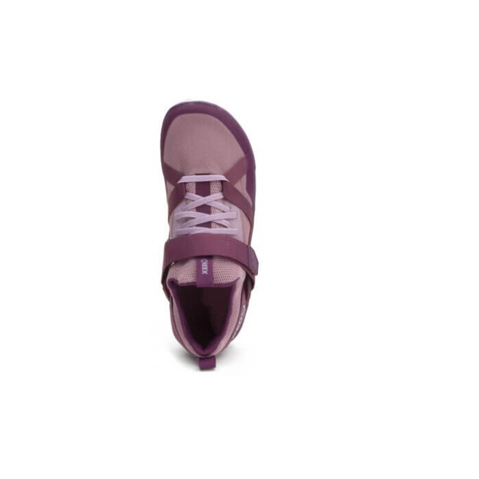 Forza Trainer - Women-ELDERBERRY / FIG