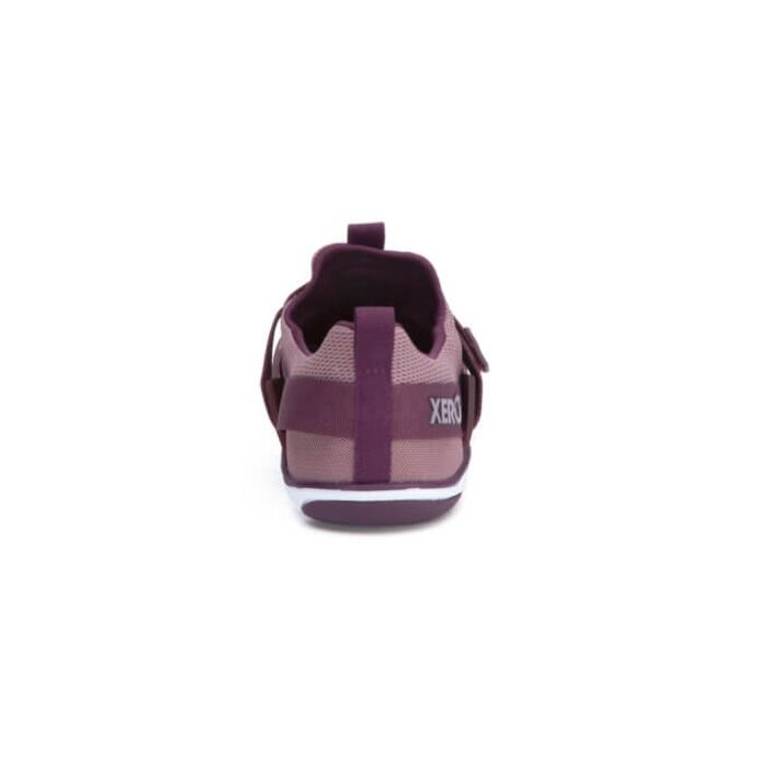 Forza Trainer - Women-ELDERBERRY / FIG