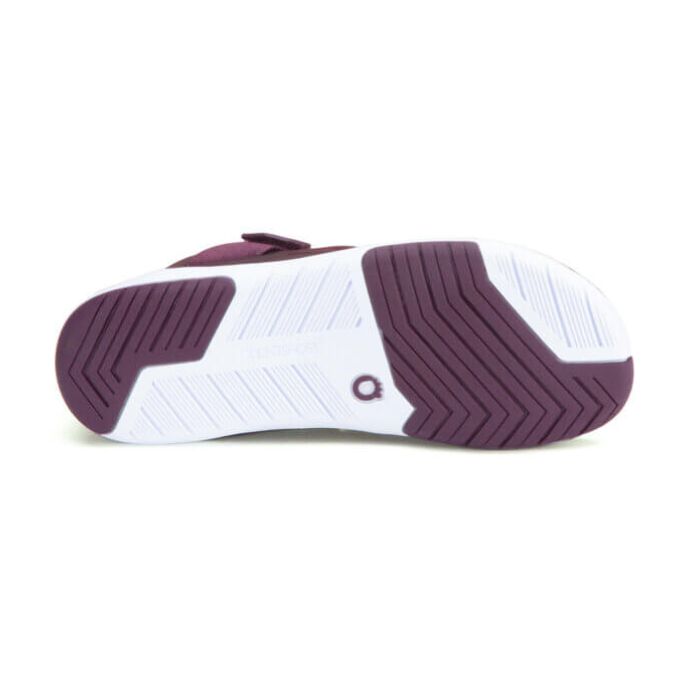 Forza Trainer - Women-ELDERBERRY / FIG