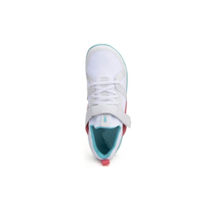 Forza Trainer - Women-WHITE / SCUBA BLUE