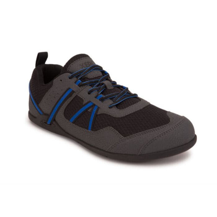 Prio Running and Fitness Shoe - Men-ASPHALT / BLUE