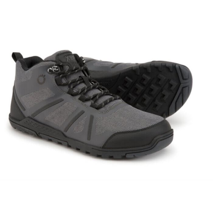 DayLite Hiker Fusion - Men-ASPHALT