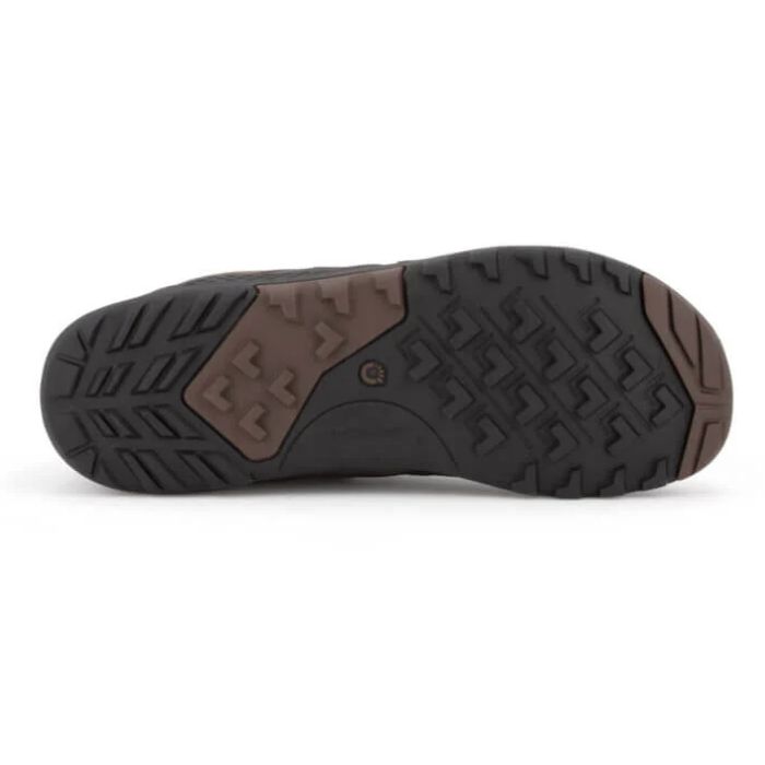 DayLite Hiker Fusion - Men-PECAN